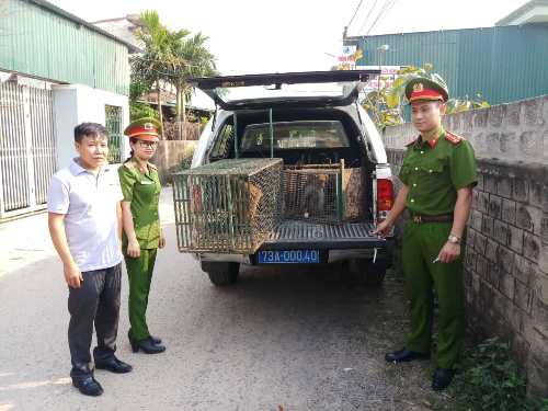 A group of people standing next to a car with cages in the back Description automatically generated