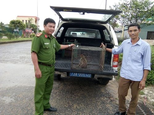 A person holding a cage with a squirrel in the back of a truck Description automatically generated