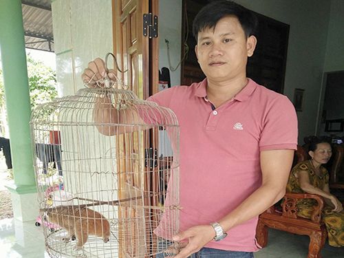 A person holding a cage with rodents in it

Description automatically generated