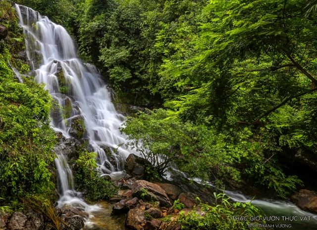 A waterfall in a forest Description automatically generated