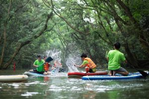 OZO Park: Trải nghiệm thiên đường xanh